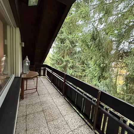 Skywalk Loft * 빌링겐